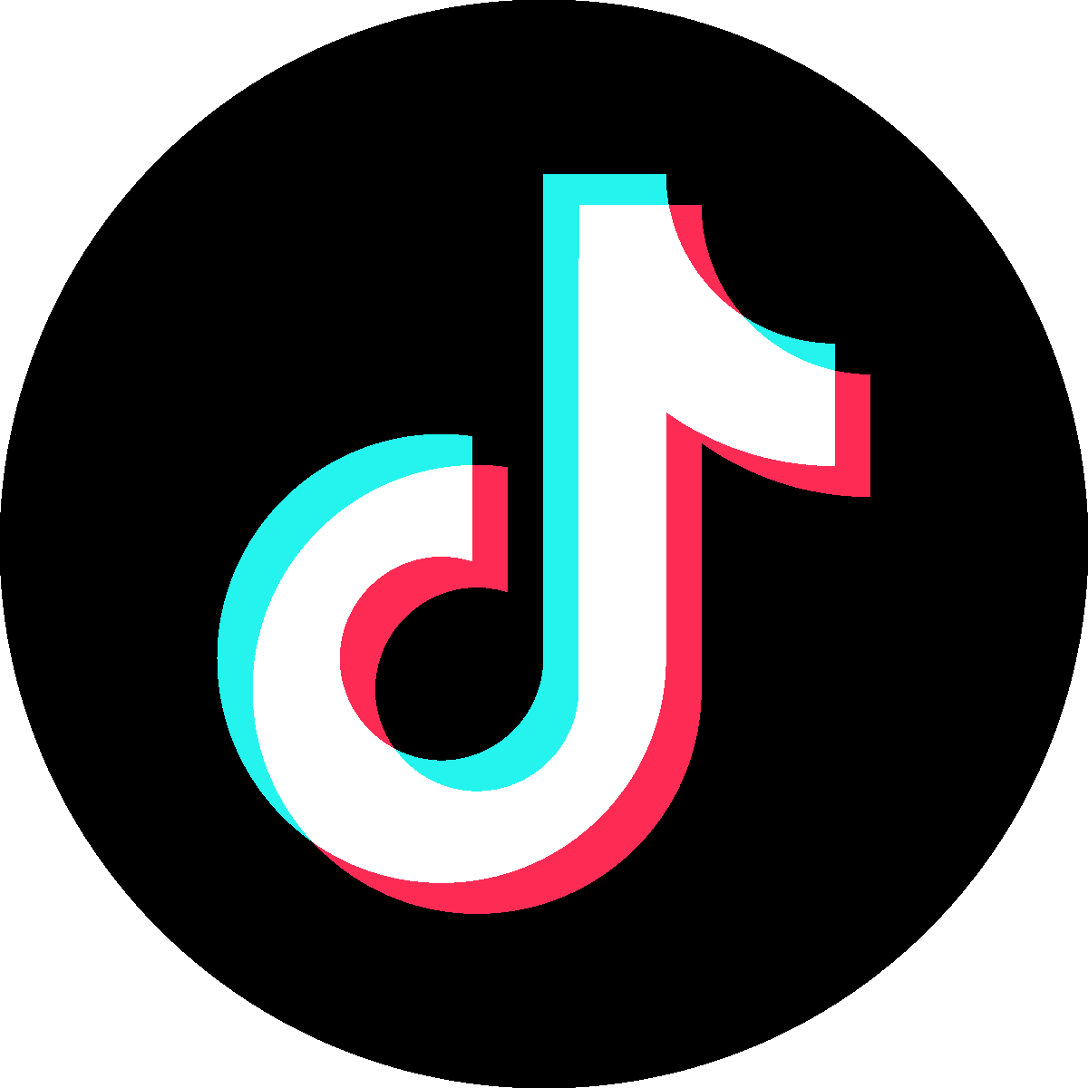 TikTokアイコン
